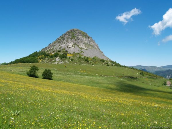 Mont Gerbier de Jonc